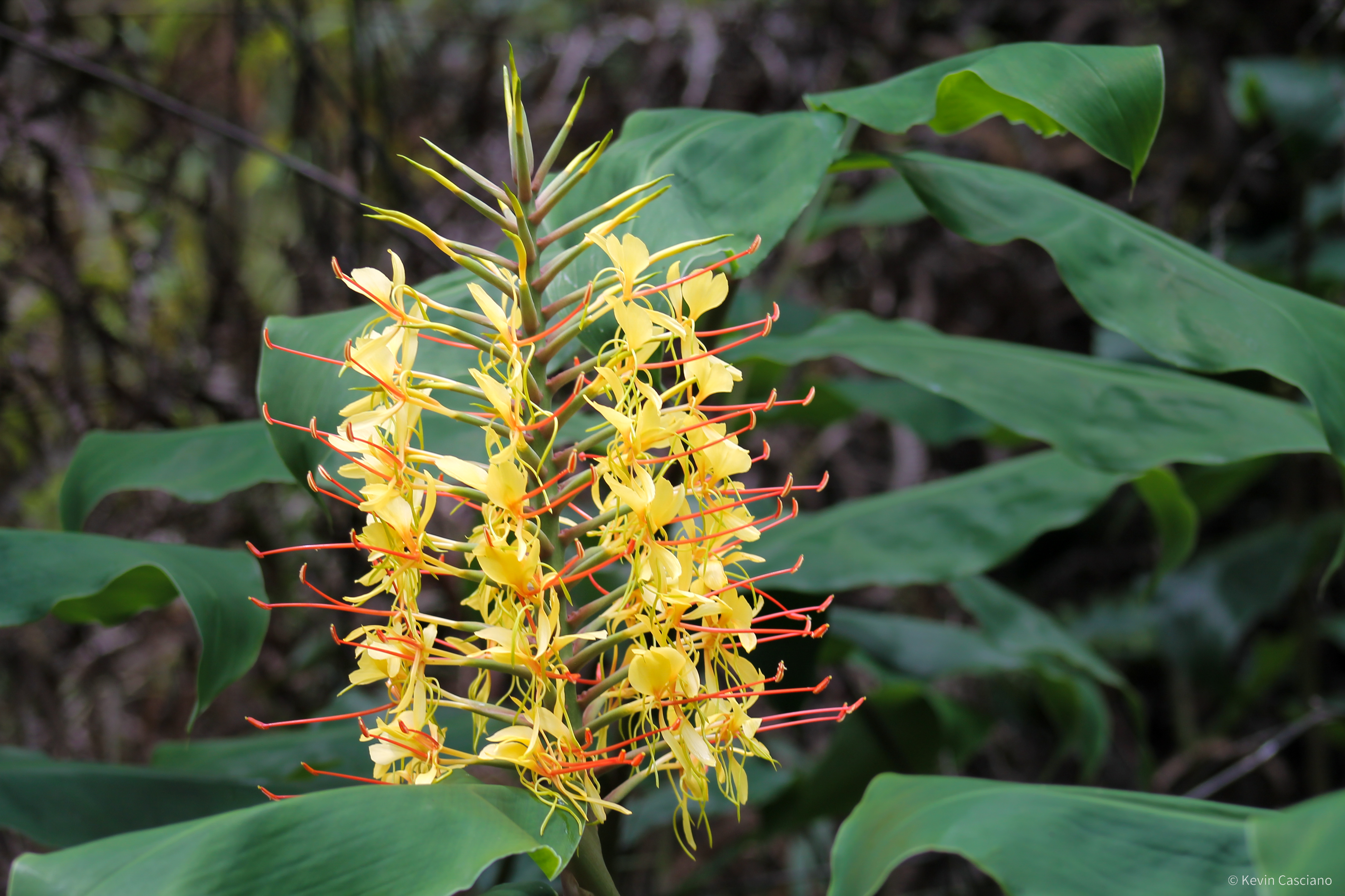 Basalt & Rain photograph 1